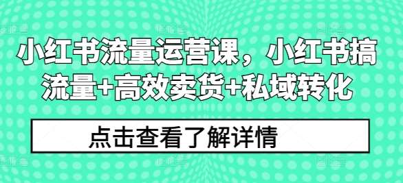 小红书流量运营课，小红书搞流量+高效卖货+私域转化-三柒社区