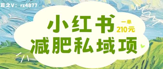 小红书减肥粉，私域变现项目，一单就达210元，小白也能轻松上手【揭秘】-三柒社区