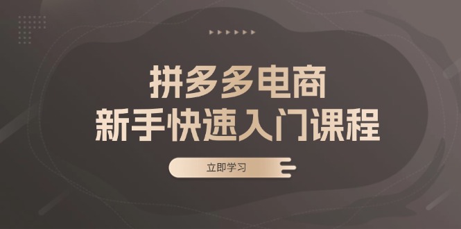 拼多多电商新手快速入门课程：涵盖基础、实战与选款，助力小白轻松上手-三柒社区